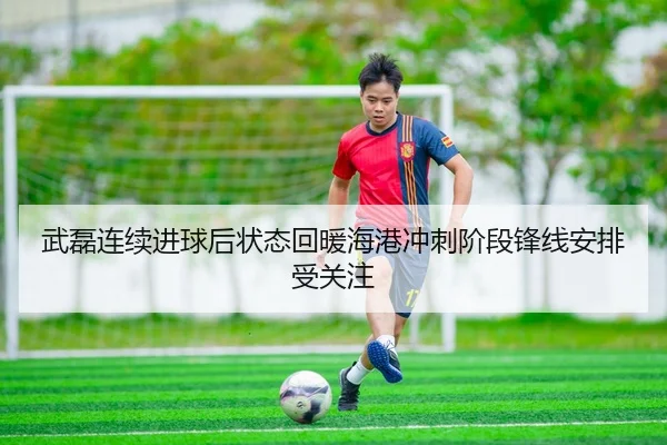武磊连续进球后状态回暖海港冲刺阶段锋线安排受关注（bob.comapp）