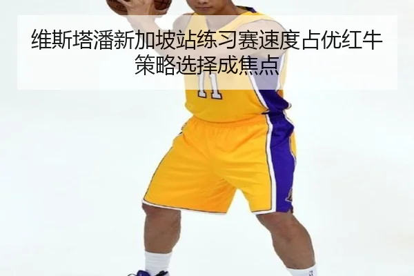 维斯塔潘新加坡站练习赛速度占优红牛策略选择成焦点（bob.comapp）